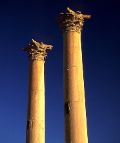 Erect Cointhian columns