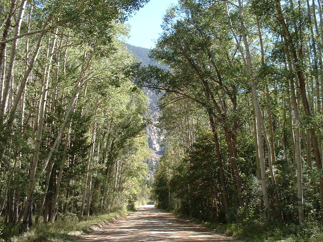 Country road